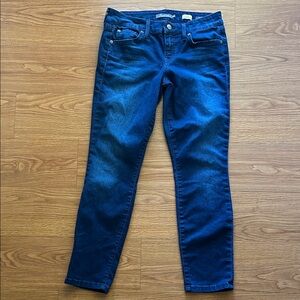 Lily Skinny Straight Dark Blue Ankle Jeans